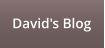David's Blog