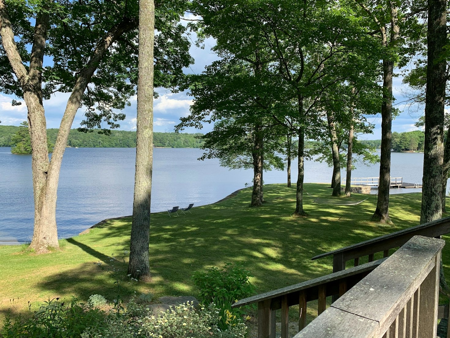 Capturing Racing Moments: A Photo Gallery